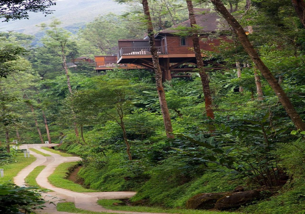 Hotel The Tamara Coorg Kakkabe Esterno foto